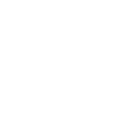 Icon-06-copy-2